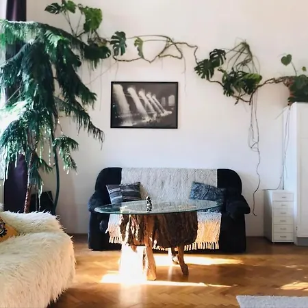 A Selva Urbana 布达佩斯